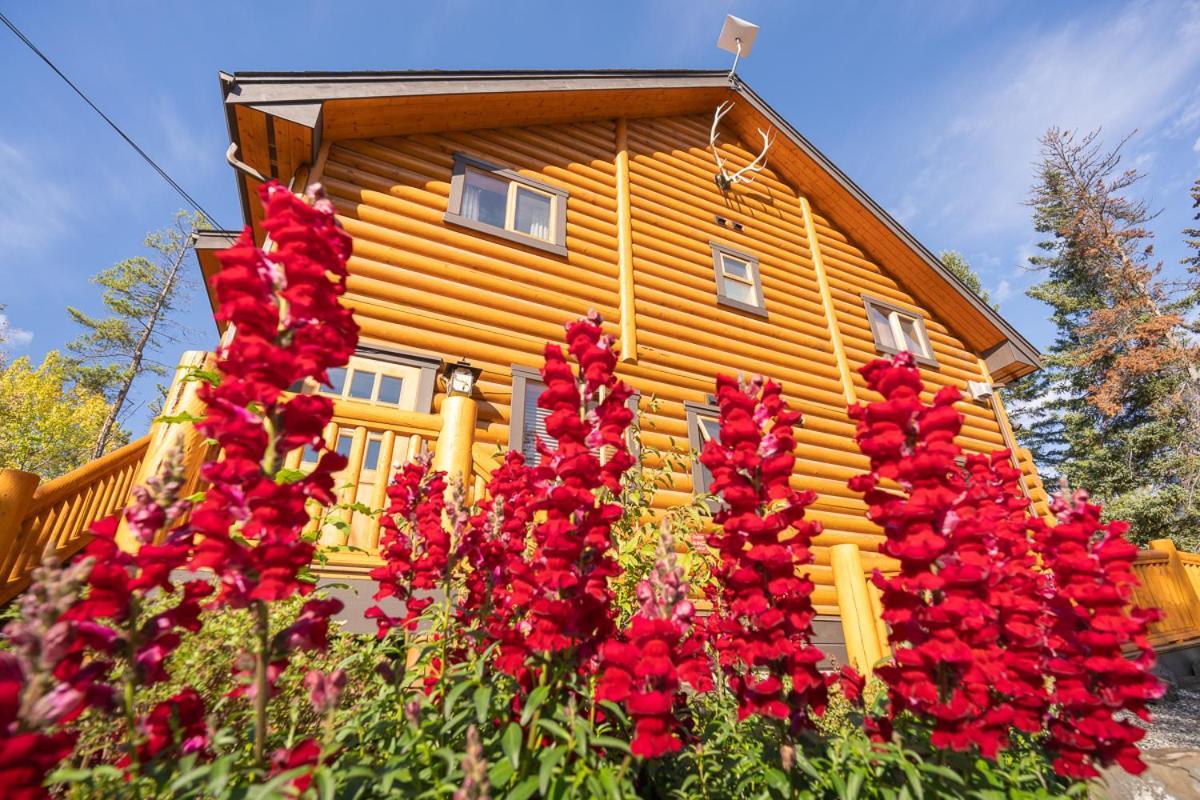 Castle Mountain Chalets Buitenkant foto